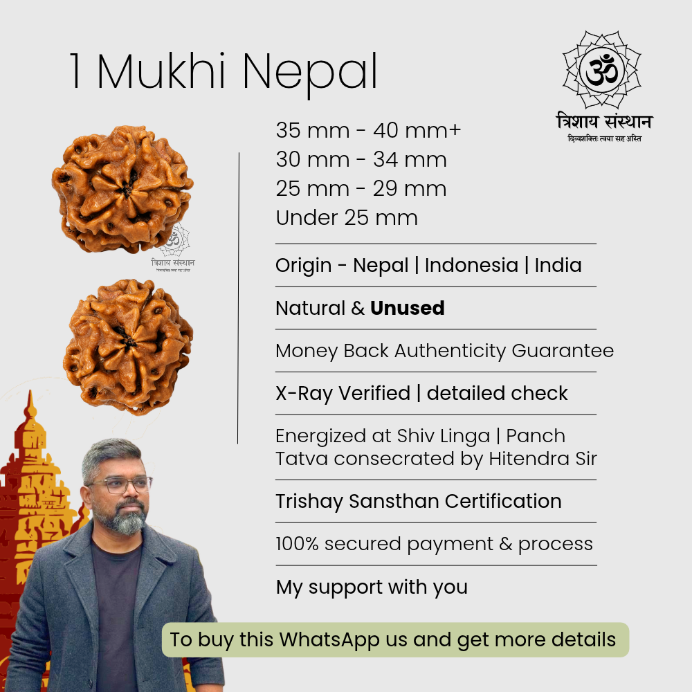 1 Mukhi Round Nepal Rudraksha Trishay - Image 3