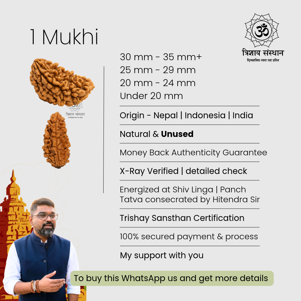 1 Mukhi Half Moon (Kaju Shape) Rudraksha Trishay - Image 3