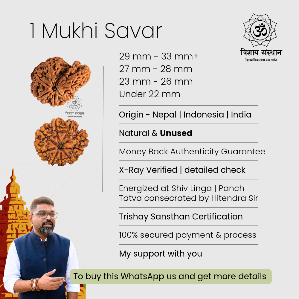 1 Mukhi Savar Rudraksha Trishay - Image 3