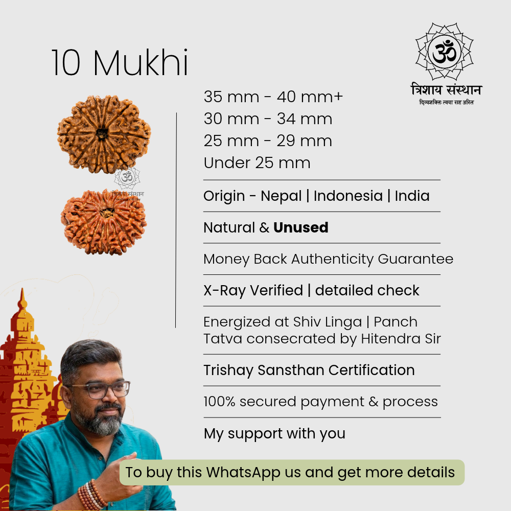 10 Mukhi Rudraksha Trishay - Image 3