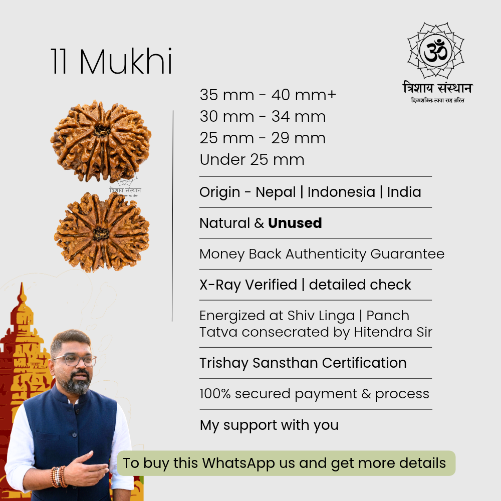 11 Mukhi Rudraksha Trishay - Image 3