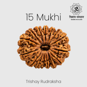 15 Mukhi Rudraksh Trishay