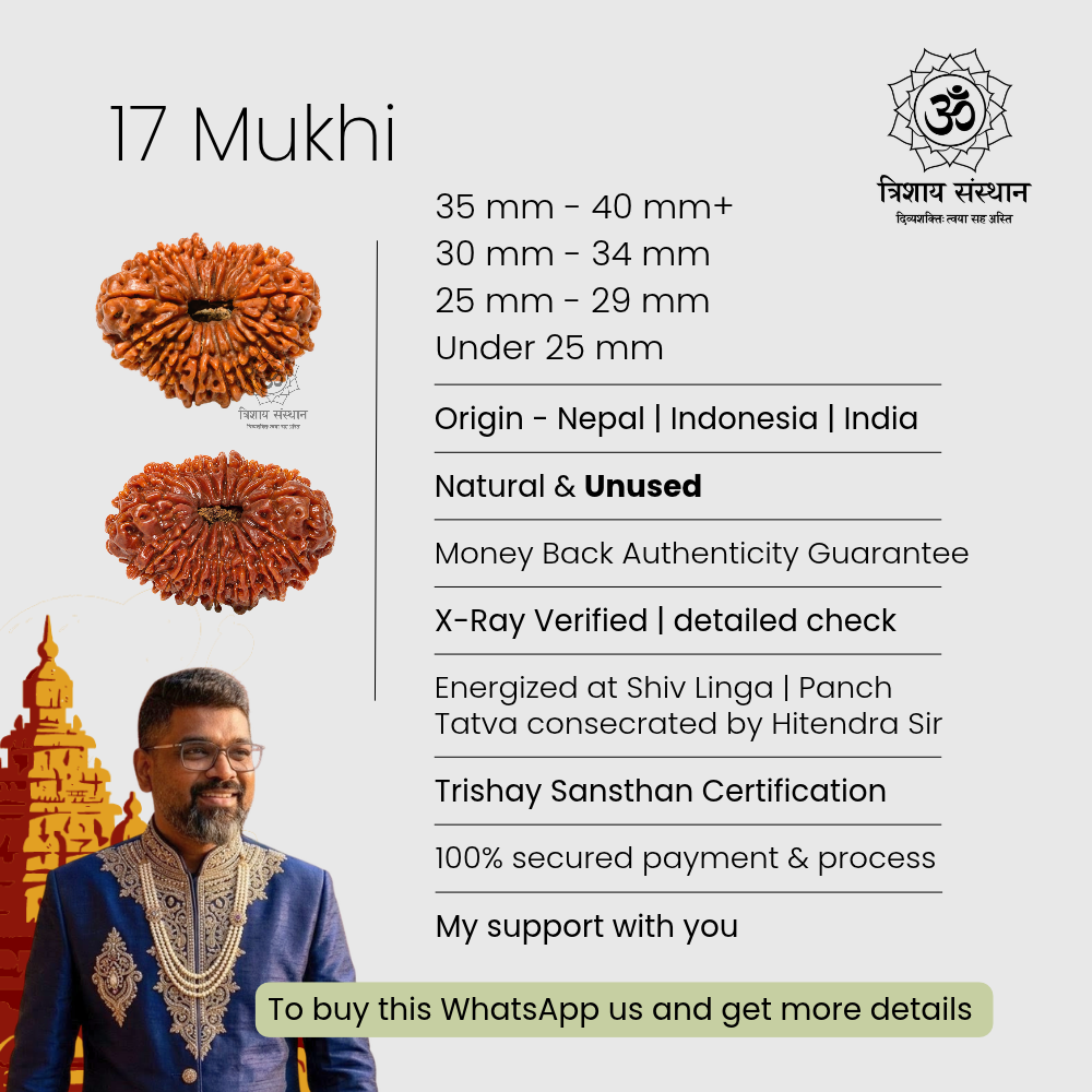 17 Mukhi Rudraksha Trishay - Image 3