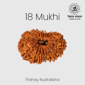18 Mukhi Rudraksha