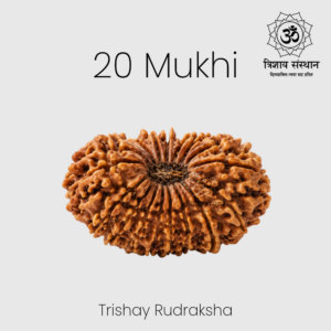 20 Mukhi Rudraksha Trishay