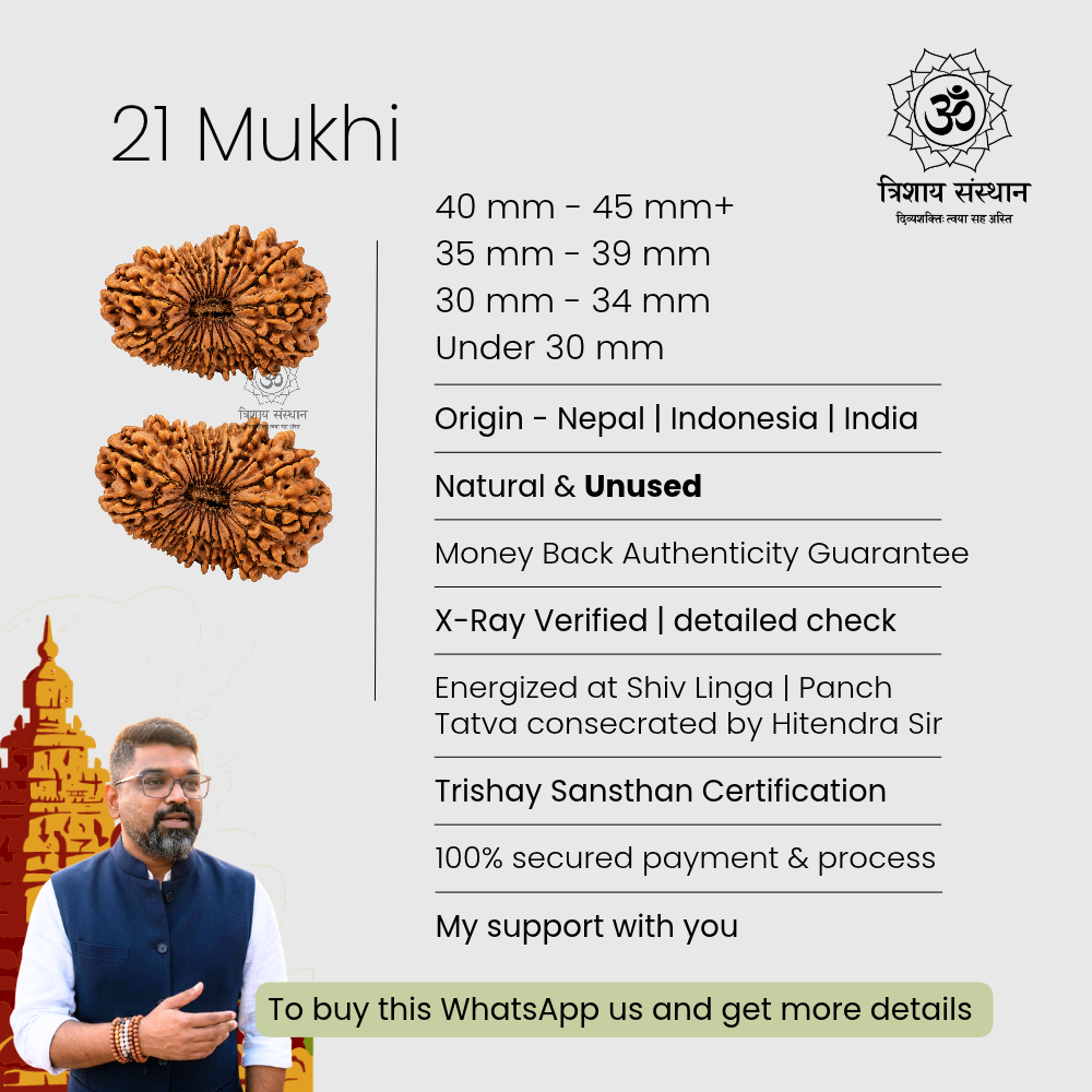 21 Mukhi Rudraksha Trishay - Image 3