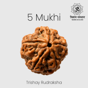 5 Mukhi Rudraksha Trishay