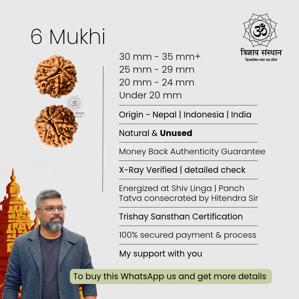 6 Mukhi Rudraksha Trishay S - Image 3
