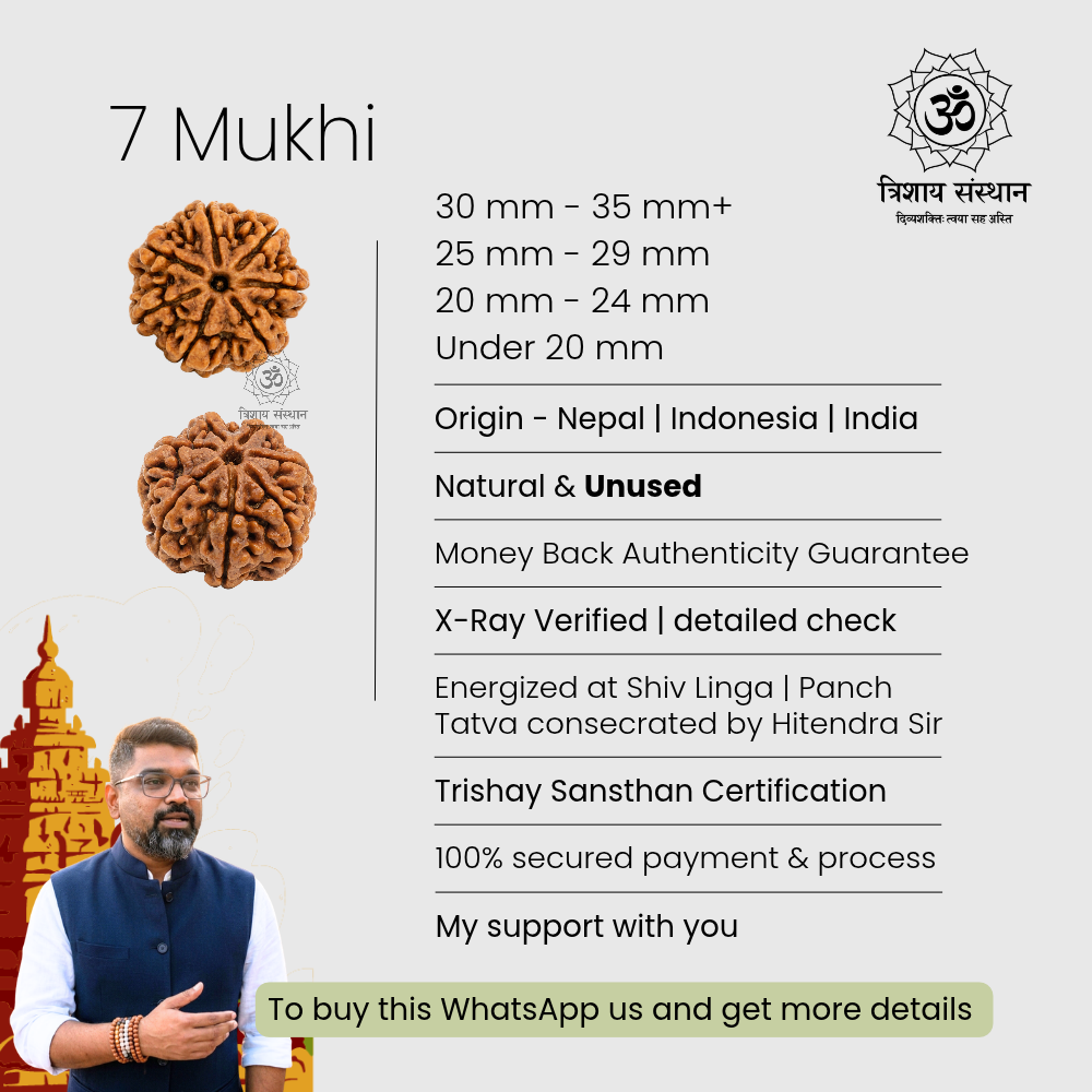 7 Mukhi Rudraksha Trishay - Image 3