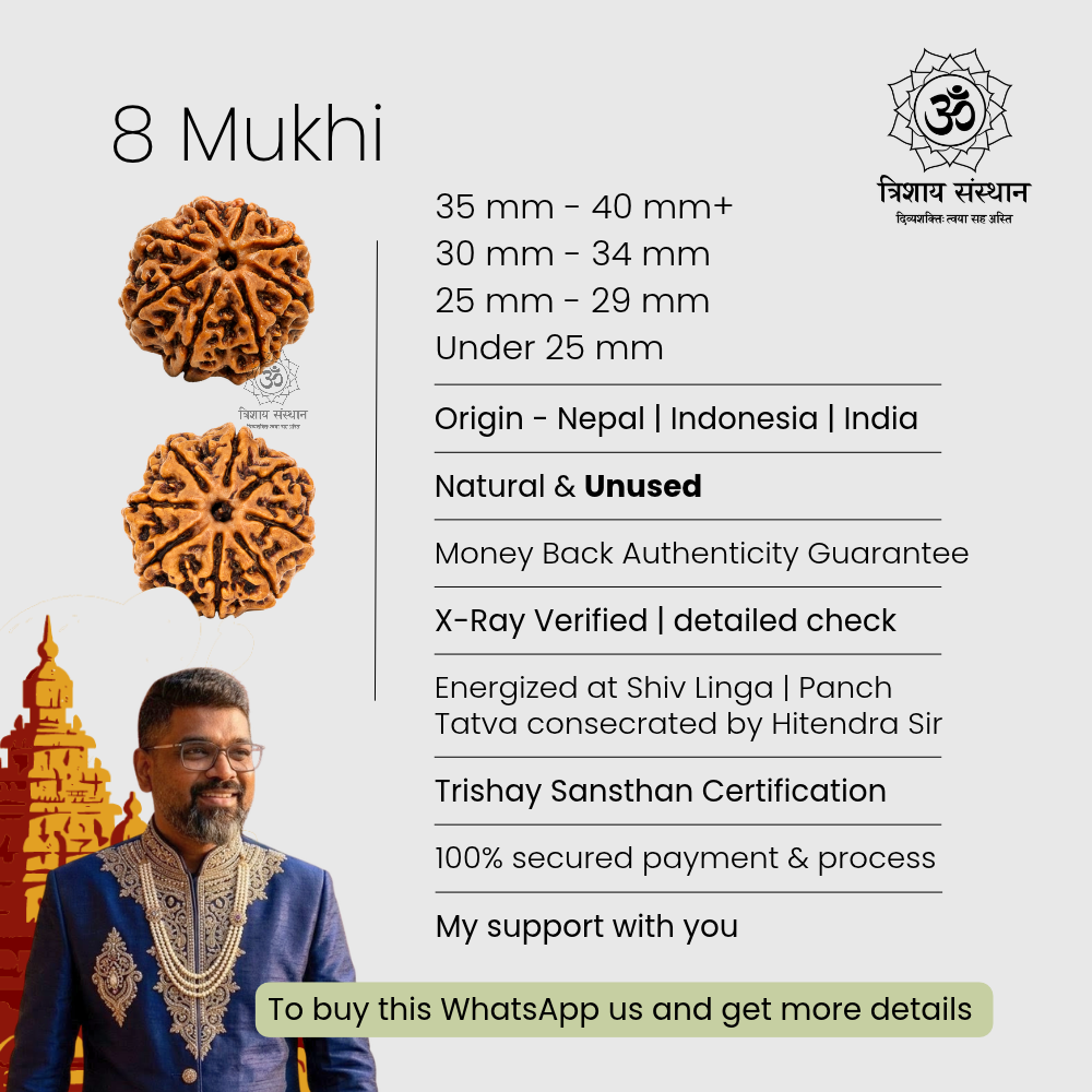 8 Mukhi Rudraksha Trishay - Image 3