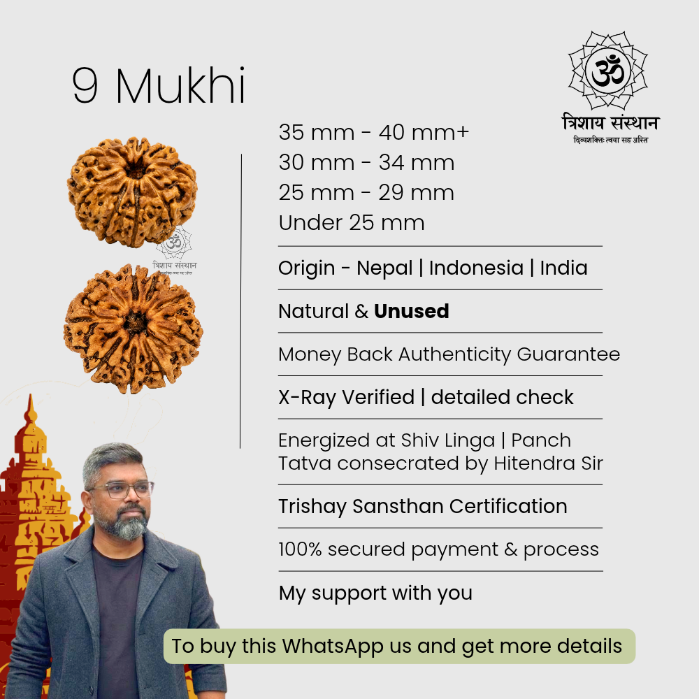 9 Mukhi Rudraksha Trishay - Image 3