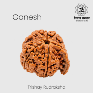 Ganesh Rudraksha Trishay