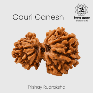 Gauri Ganesh Rudraksha Trishay