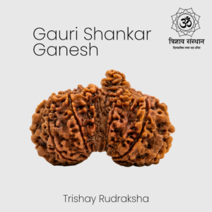 Gauri Shankar Rudraksha Trishay