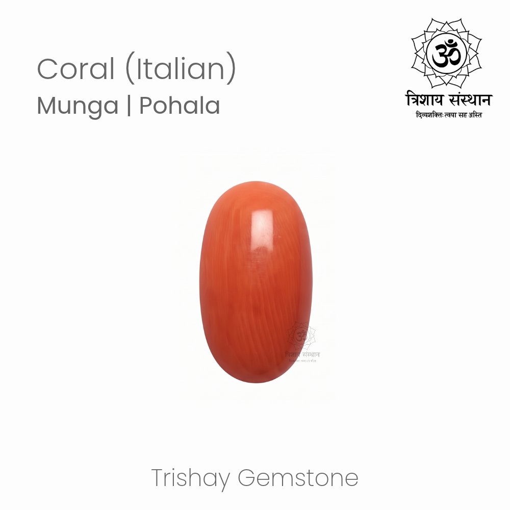 Italian Coral (Moonga) Trishay - Image 2