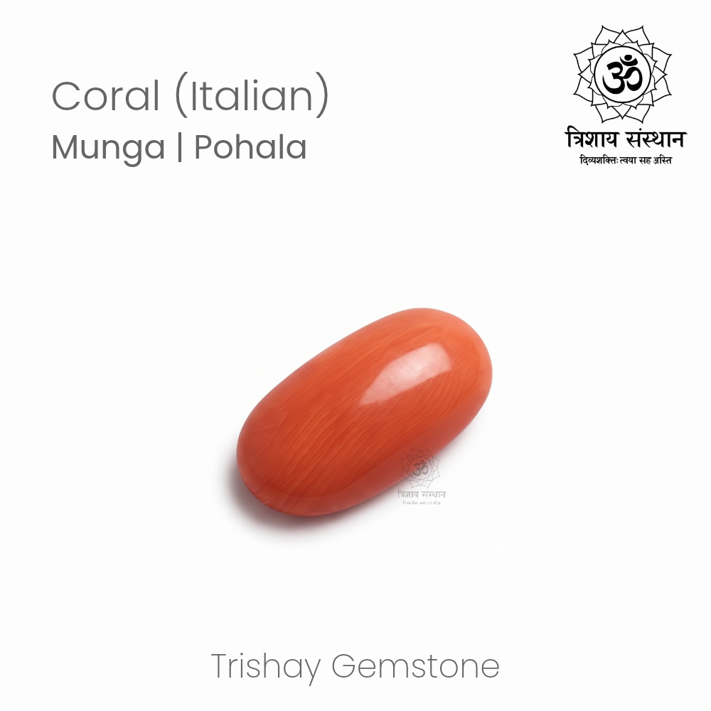 Italian Coral (Moonga) Trishay