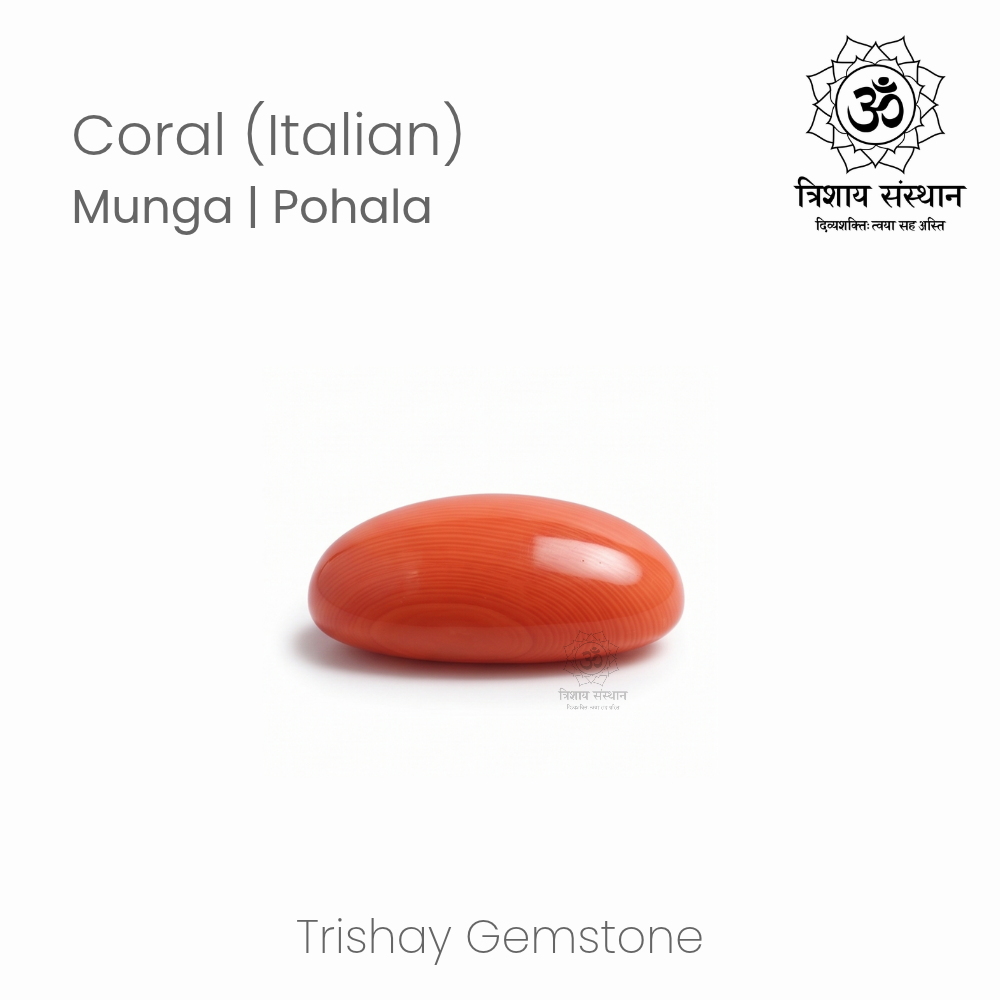 Italian Coral (Moonga) Trishay - Image 3